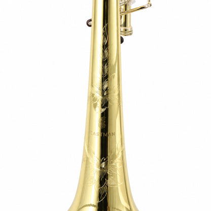 Eastman ETB848 Professional Bass Trombone in Clear Lacquer