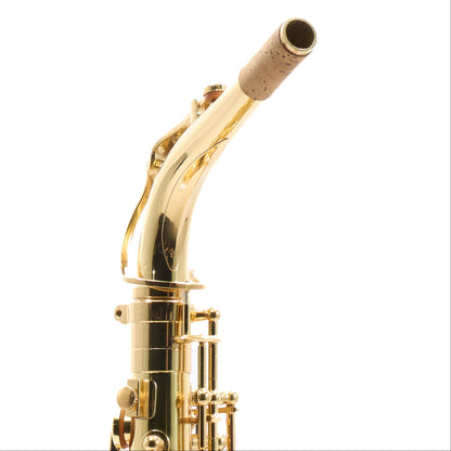 Eastman Model EAS451 Performance Alto Saxophone
