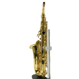 Eastman Model EAS451 Performance Alto Saxophone SN A2000363 OPEN BOX- for sale at BrassAndWinds.com