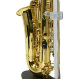 Eastman Model EAS451 Performance Alto Saxophone SN A2000363 OPEN BOX- for sale at BrassAndWinds.com