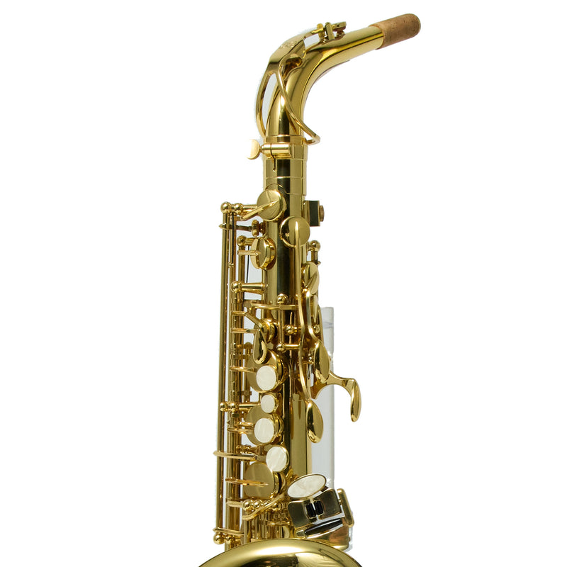 Eastman Model EAS451 Performance Alto Saxophone SN A2000363 OPEN BOX- for sale at BrassAndWinds.com