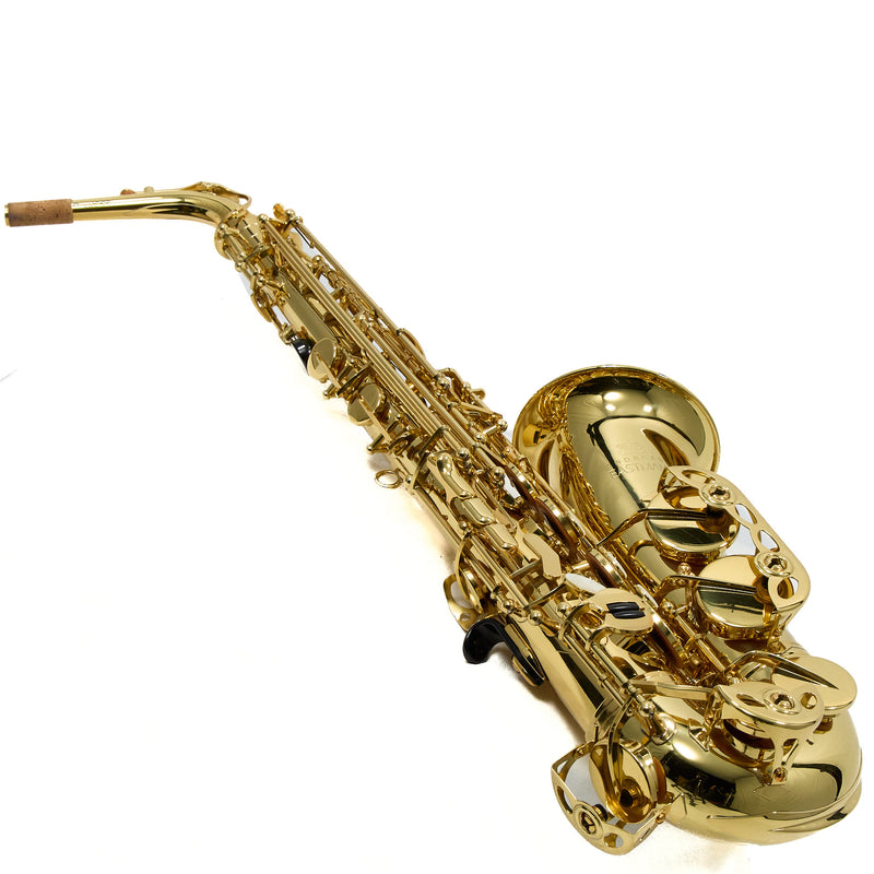 Eastman Model EAS451 Performance Alto Saxophone SN A2000363 OPEN BOX- for sale at BrassAndWinds.com