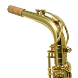 Eastman Model EAS451 Performance Alto Saxophone SN A2000363 OPEN BOX- for sale at BrassAndWinds.com