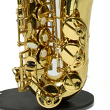 Eastman Model EAS451 Performance Alto Saxophone SN A2000363 OPEN BOX- for sale at BrassAndWinds.com
