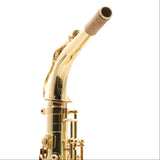 Eastman Model EAS451 Performance Alto Saxophone SN A2404420