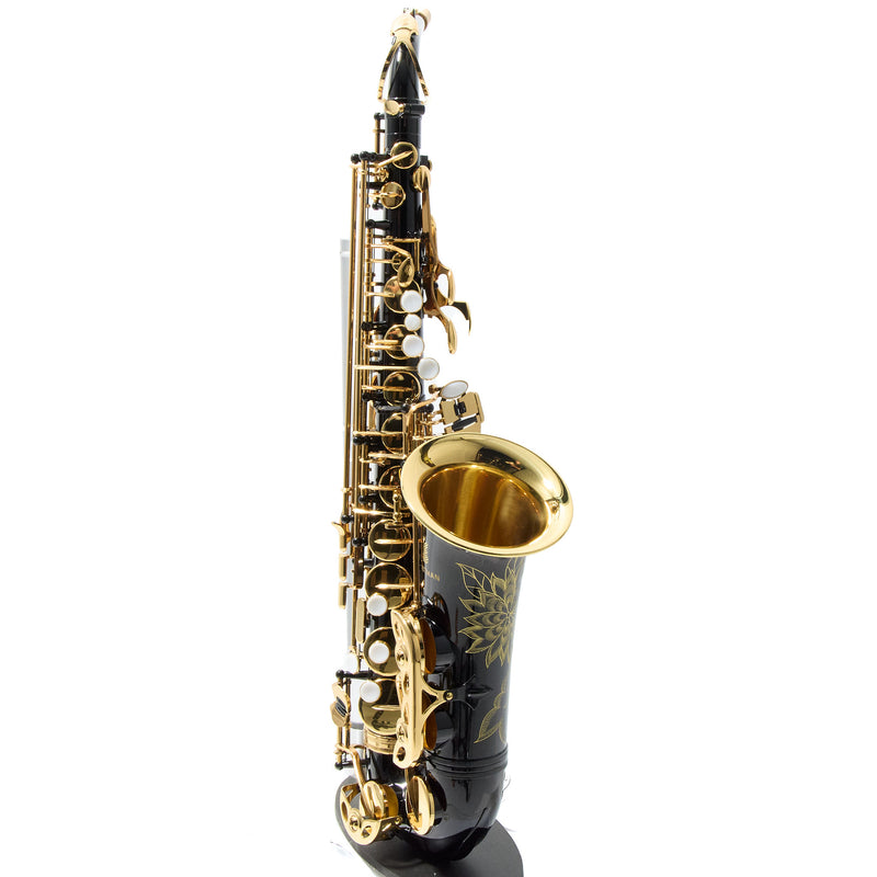 Eastman Model EAS451BL Performance Alto Saxophone SN A2303041 OPEN BOX- for sale at BrassAndWinds.com