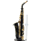 Eastman Model EAS451BL Performance Alto Saxophone SN A2303109 OPEN BOX- for sale at BrassAndWinds.com