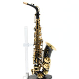 Eastman Model EAS451BL Performance Alto Saxophone SN A2303109 OPEN BOX- for sale at BrassAndWinds.com