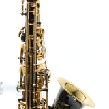 Eastman Model EAS451BL Performance Alto Saxophone SN A2303109 OPEN BOX- for sale at BrassAndWinds.com