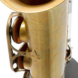 Eastman Model EAS451V Performance Alto Saxophone SN A2304254 OPEN BOX- for sale at BrassAndWinds.com
