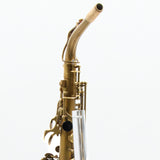 Eastman Model EAS451V Performance Alto Saxophone SN A2304255 OPEN BOX- for sale at BrassAndWinds.com