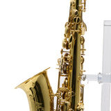 Eastman Model EAS650  'Rue Saint-Georges' Alto Saxophone SN A2440030 OPEN BOX