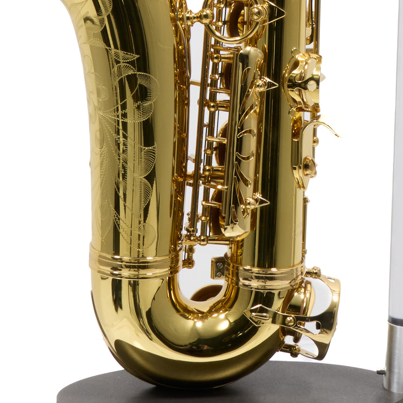 Eastman Model EAS650  'Rue Saint-Georges' Alto Saxophone SN A2440030 OPEN BOX