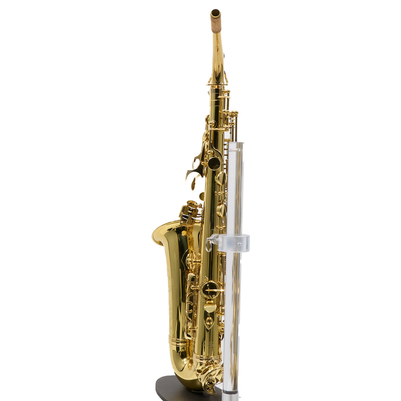 Eastman Model EAS650  'Rue Saint-Georges' Alto Saxophone SN A2440030 OPEN BOX