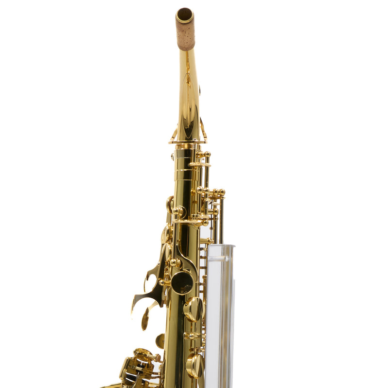 Eastman Model EAS650  'Rue Saint-Georges' Alto Saxophone SN A2440030 OPEN BOX