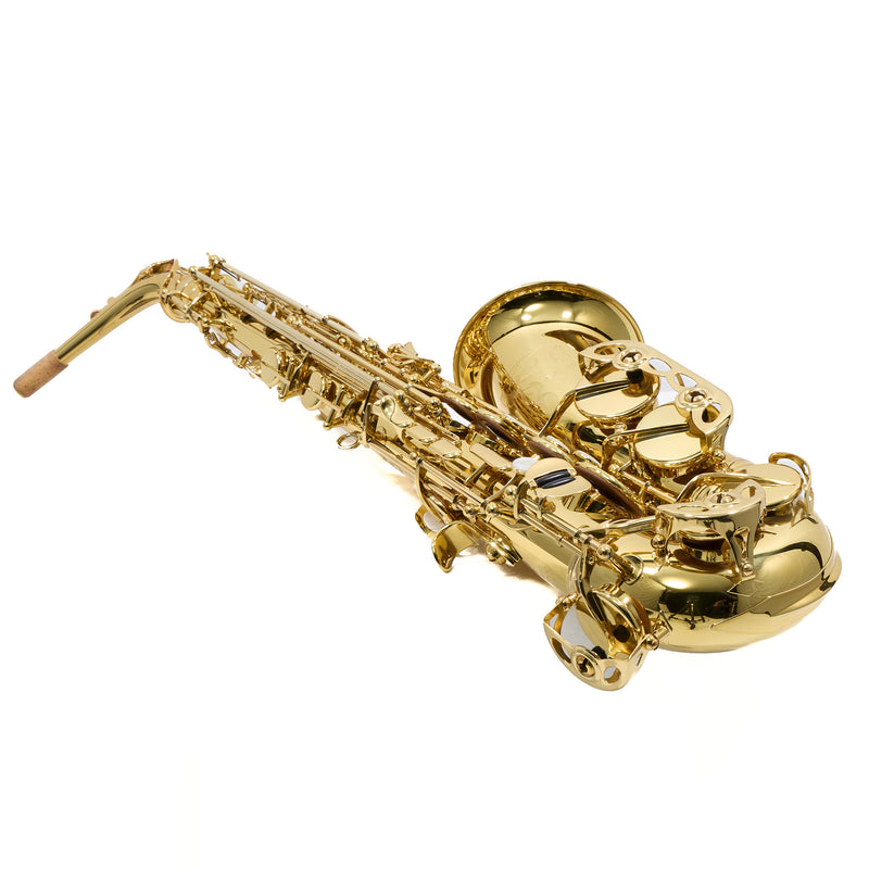 Eastman Model EAS650  'Rue Saint-Georges' Alto Saxophone SN A2440030 OPEN BOX