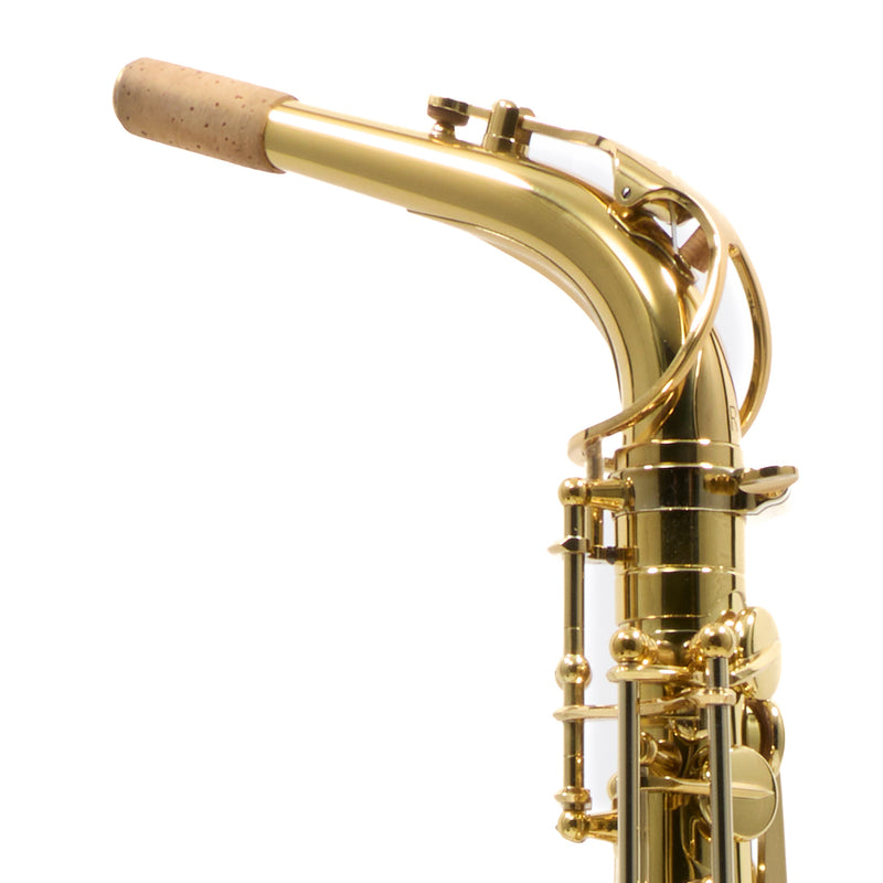 Eastman Model EAS650  'Rue Saint-Georges' Alto Saxophone SN A2440030 OPEN BOX