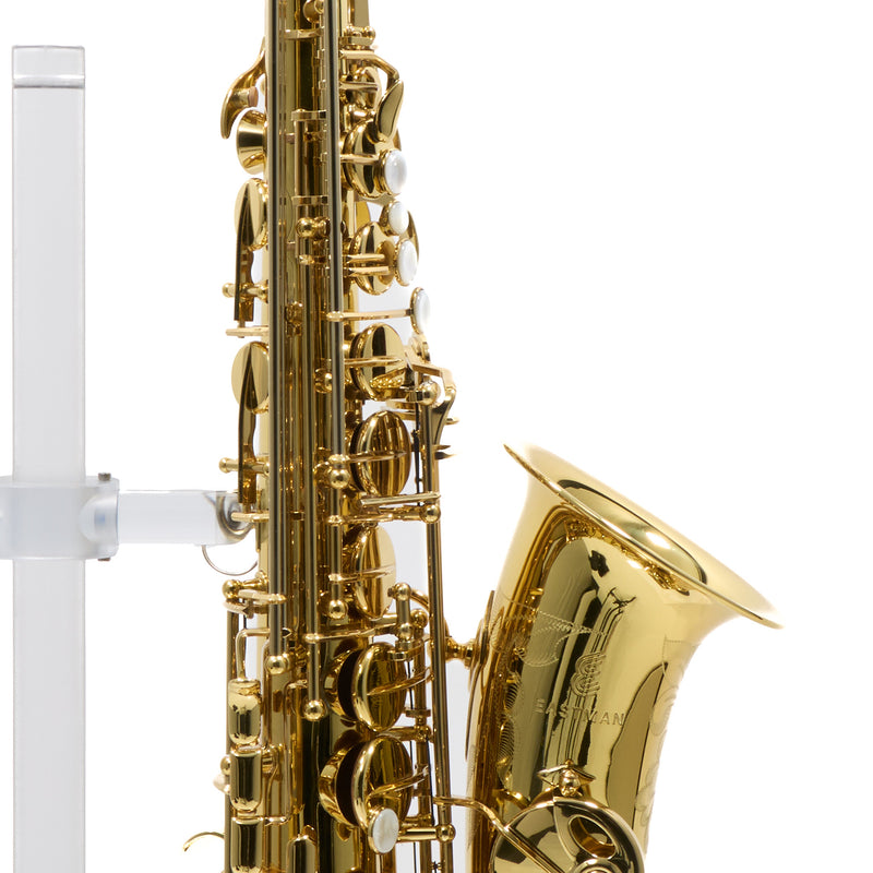 Eastman Model EAS650  'Rue Saint-Georges' Alto Saxophone SN A2440030 OPEN BOX