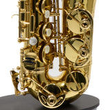 Eastman Model EAS650  'Rue Saint-Georges' Alto Saxophone SN A2440030 OPEN BOX