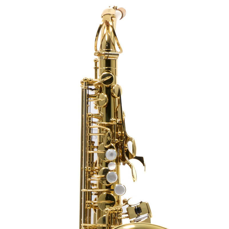 Eastman Model EAS650  'Rue Saint-Georges' Alto Saxophone SN A2440030 OPEN BOX