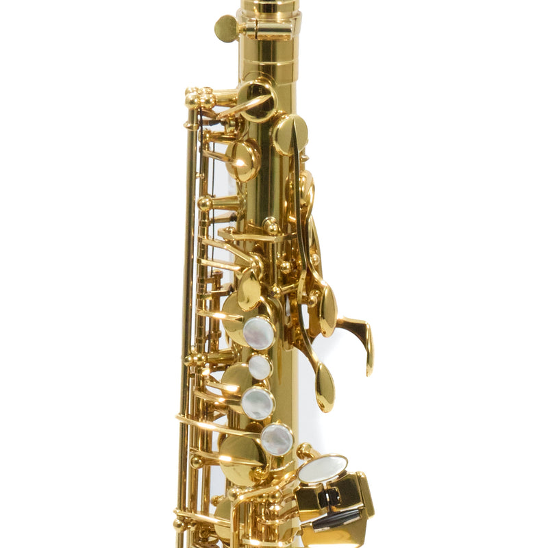 Eastman Model EAS650 'Rue Saint-Georges' Alto Saxophone SN A2440464 OPEN BOX- for sale at BrassAndWinds.com