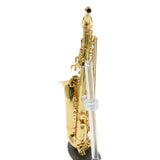 Eastman Model EAS650 'Rue Saint-Georges' Alto Saxophone SN A2440464 OPEN BOX- for sale at BrassAndWinds.com