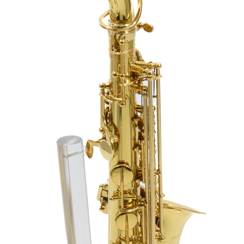 Eastman Model EAS650 'Rue Saint-Georges' Alto Saxophone SN A2440464 OPEN BOX- for sale at BrassAndWinds.com