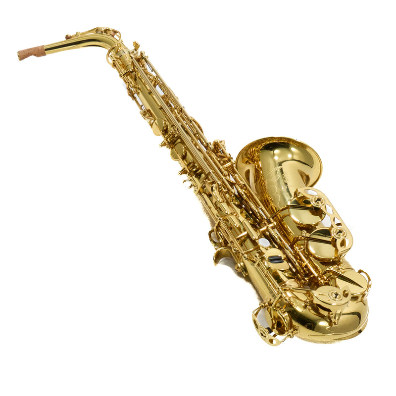 Eastman Model EAS650 'Rue Saint-Georges' Alto Saxophone SN A2440464 OPEN BOX- for sale at BrassAndWinds.com