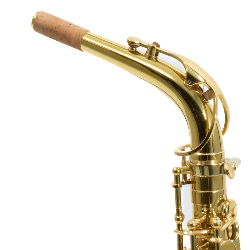 Eastman Model EAS650 'Rue Saint-Georges' Alto Saxophone SN A2440464 OPEN BOX- for sale at BrassAndWinds.com
