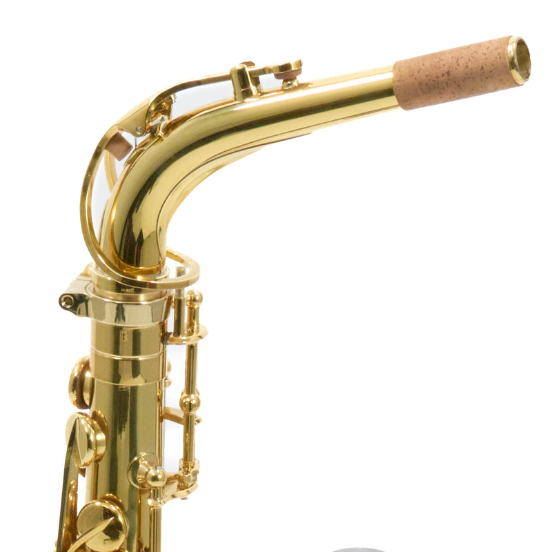 Eastman Model EAS650 'Rue Saint-Georges' Alto Saxophone SN A2440464 OPEN BOX- for sale at BrassAndWinds.com
