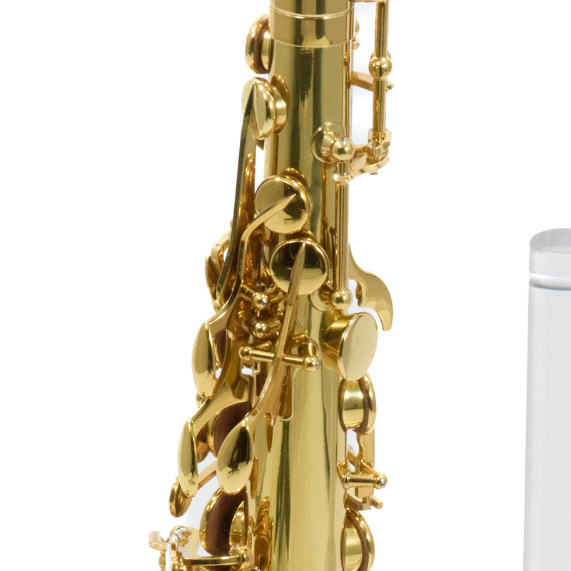 Eastman Model EAS650 'Rue Saint-Georges' Alto Saxophone SN A2440464 OPEN BOX- for sale at BrassAndWinds.com