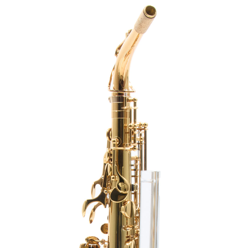 Eastman Model EAS850 'Rue Saint-Georges' Alto Saxophone SN 2440434 OPEN BOX- for sale at BrassAndWinds.com