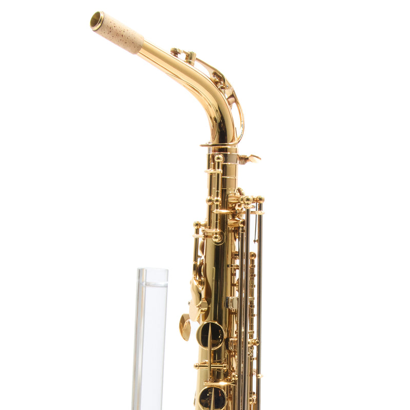 Eastman Model EAS850 'Rue Saint-Georges' Alto Saxophone SN 2440434 OPEN BOX- for sale at BrassAndWinds.com