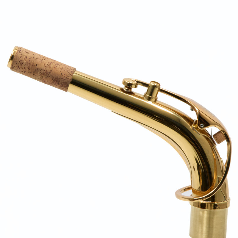 Eastman Model EAS850 'Rue Saint-Georges' Alto Saxophone SN 2440434 OPEN BOX- for sale at BrassAndWinds.com