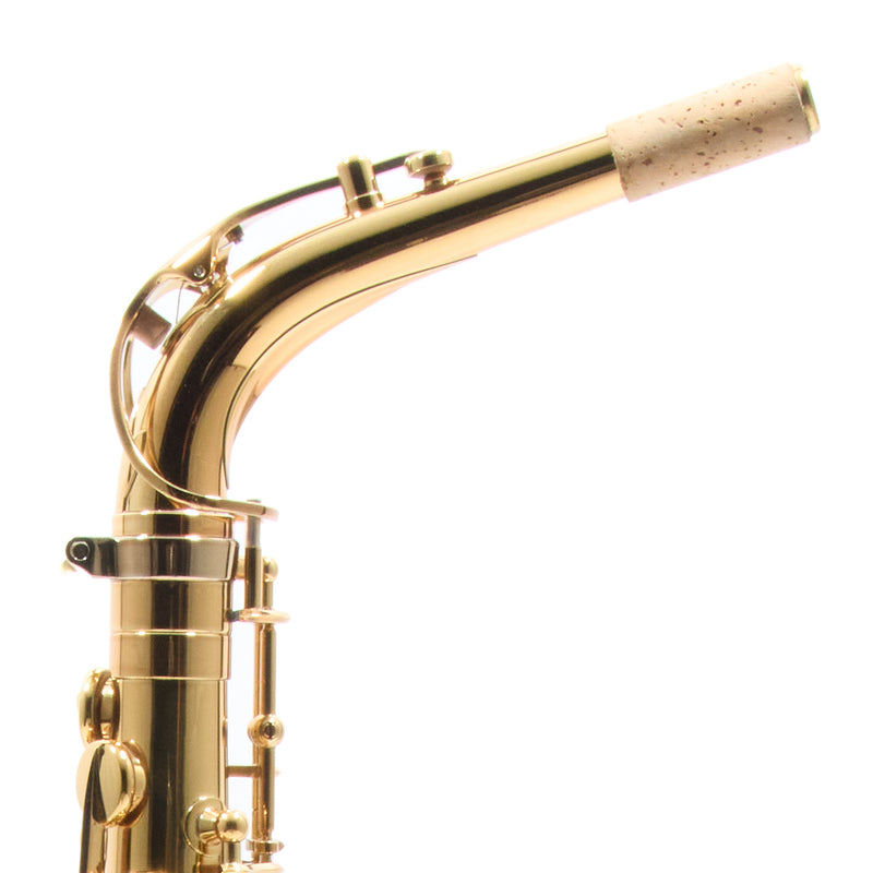 Eastman Model EAS850 'Rue Saint-Georges' Alto Saxophone SN 2440434 OPEN BOX- for sale at BrassAndWinds.com