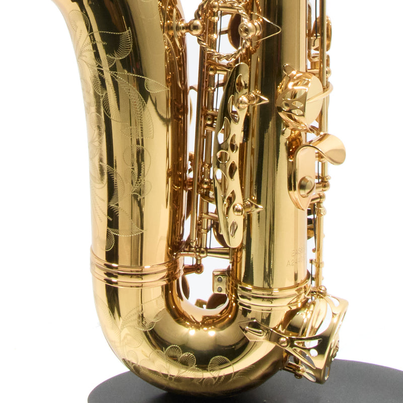 Eastman Model EAS850 'Rue Saint-Georges' Alto Saxophone SN 2440578 OPEN BOX- for sale at BrassAndWinds.com