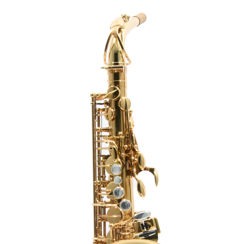 Eastman Model EAS850 'Rue Saint-Georges' Alto Saxophone SN 2440578 OPEN BOX- for sale at BrassAndWinds.com