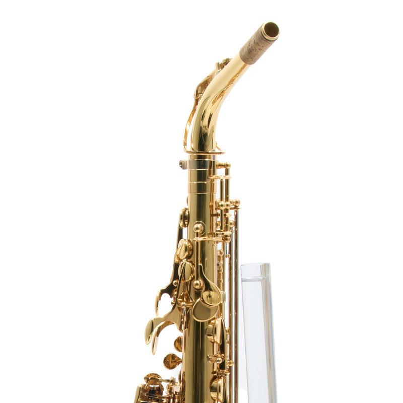Eastman Model EAS850 'Rue Saint-Georges' Alto Saxophone SN 2440578 OPEN BOX- for sale at BrassAndWinds.com