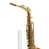 Eastman Model EAS850 'Rue Saint-Georges' Alto Saxophone SN 2440578 OPEN BOX- for sale at BrassAndWinds.com