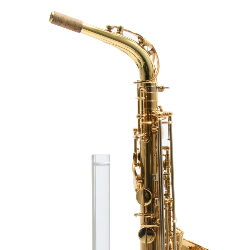 Eastman Model EAS850 'Rue Saint-Georges' Alto Saxophone SN 2440578 OPEN BOX- for sale at BrassAndWinds.com