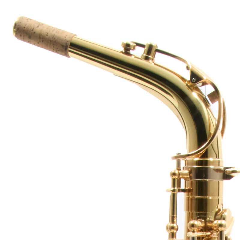 Eastman Model EAS850 'Rue Saint-Georges' Alto Saxophone SN 2440578 OPEN BOX- for sale at BrassAndWinds.com