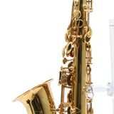 Eastman Model EAS850 'Rue Saint-Georges' Alto Saxophone SN 2440578 OPEN BOX- for sale at BrassAndWinds.com