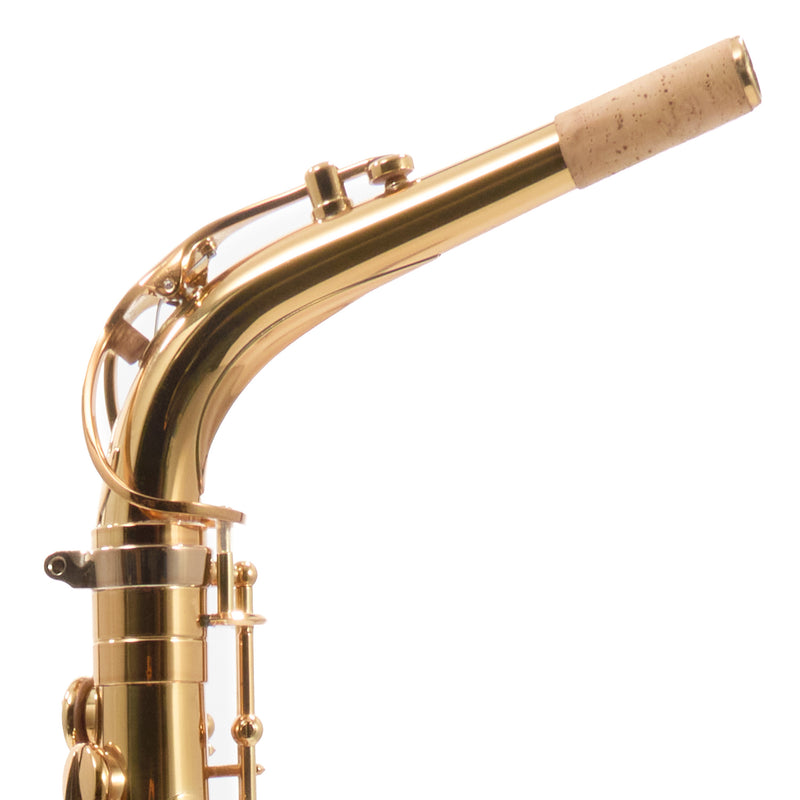 Eastman Model EAS850  'Rue Saint-Georges' Alto Saxophone SN A2440178 OPEN BOX