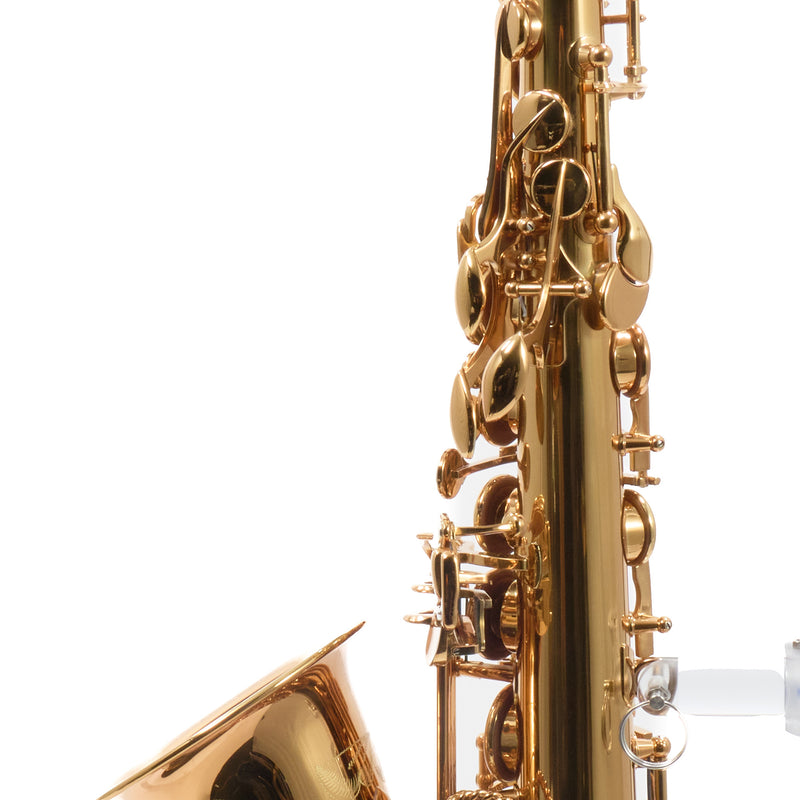 Eastman Model EAS850  'Rue Saint-Georges' Alto Saxophone SN A2440178 OPEN BOX