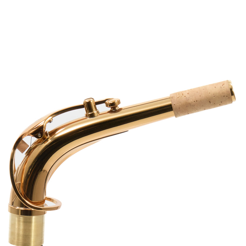 Eastman Model EAS850  'Rue Saint-Georges' Alto Saxophone SN A2440178 OPEN BOX