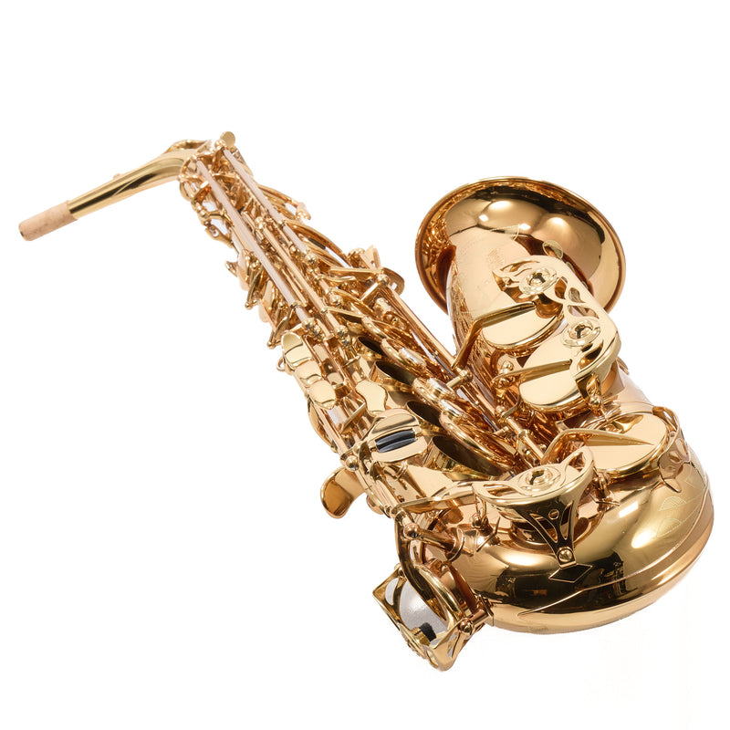 Eastman Model EAS850  'Rue Saint-Georges' Alto Saxophone SN A2440178 OPEN BOX