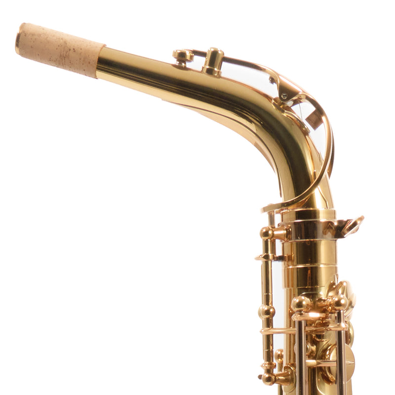 Eastman Model EAS850  'Rue Saint-Georges' Alto Saxophone SN A2440178 OPEN BOX