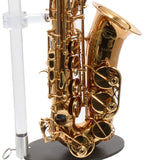 Eastman Model EAS850  'Rue Saint-Georges' Alto Saxophone SN A2440178 OPEN BOX