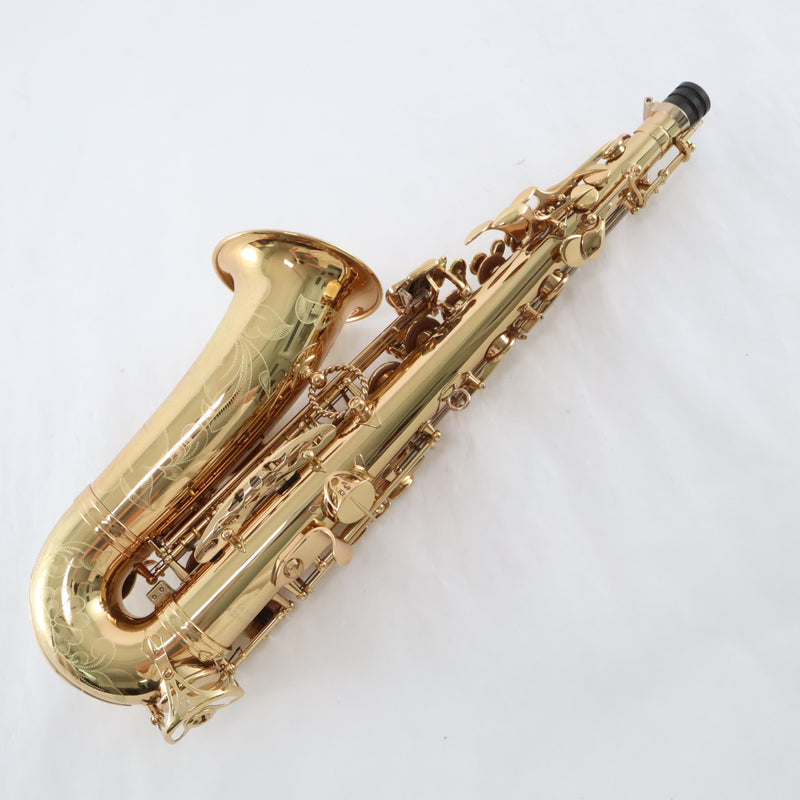 Eastman Model EAS850 'Rue Saint-Georges' Professional Alto Saxophone BRAND NEW- for sale at BrassAndWinds.com