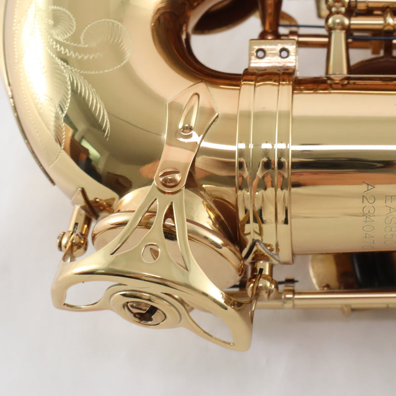 Eastman Model EAS850 'Rue Saint-Georges' Professional Alto Saxophone BRAND NEW- for sale at BrassAndWinds.com